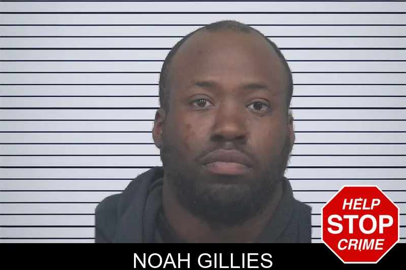 Noah Gillies mugshot