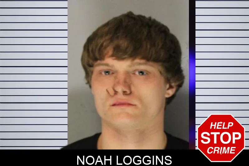 Noah Loggins mugshot – Hall County , Georgia Noah Loggins mugshot