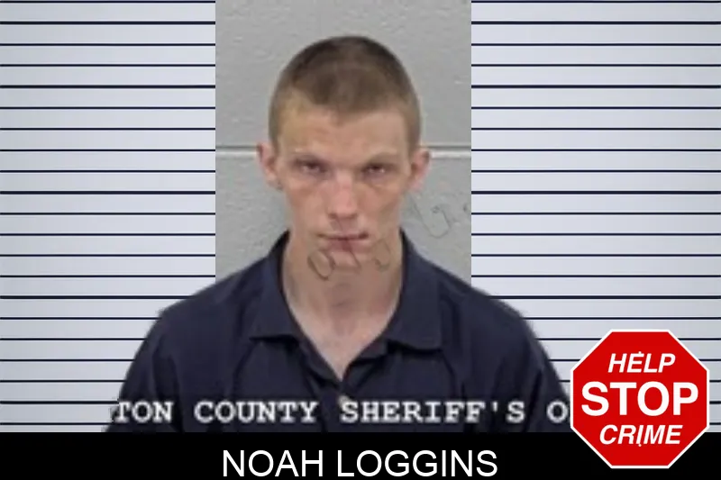 Noah Loggins mugshot – Walton County , Georgia Noah Loggins mugshot