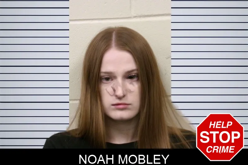Noah Mobley mugshot