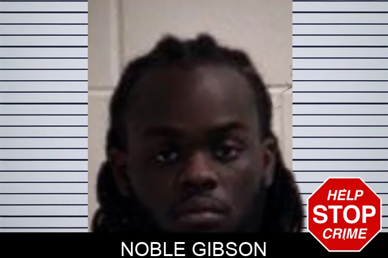 Noble Gibson mugshot – Henry County , Georgia Noble Gibson mugshot
