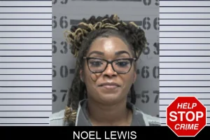 Noel Lewis mugshot