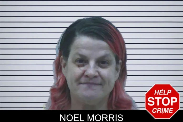 Noel Morris mugshot – Jackson County , Georgia Noel Morris