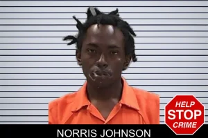 Norris Johnson mugshot