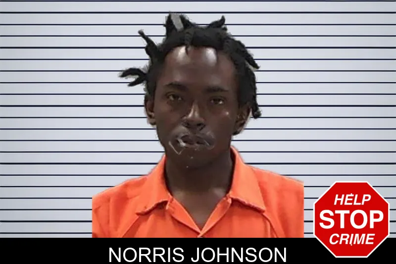 Norris Johnson mugshot – Baldwin County , Georgia Norris Johnson mugshot