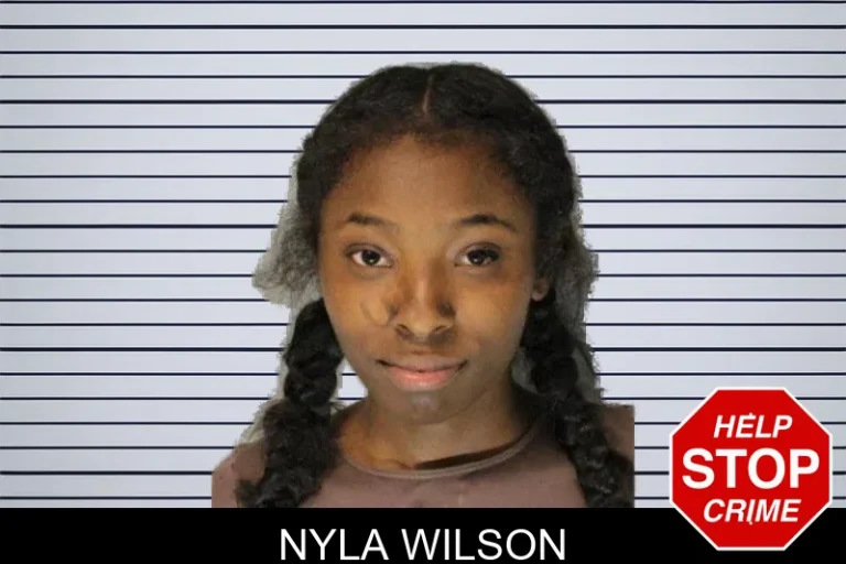 Nyla Wilson mugshot – Hall County , Georgia Nyla Wilson