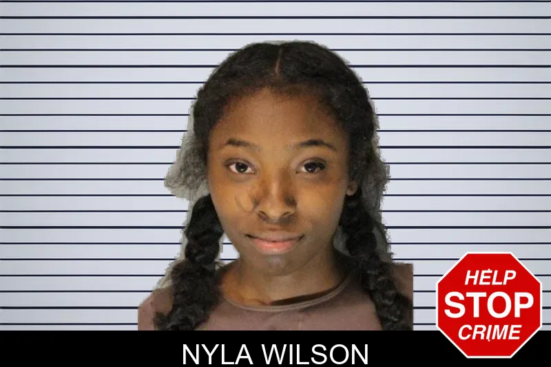 Nyla Wilson mugshot – Hall County , Georgia Nyla Wilson mugshot