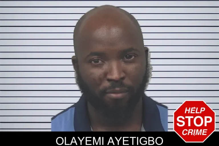 Olayemi Ayetigbo