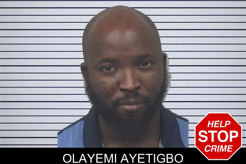 Olayemi Ayetigbo mugshot – Gwinnett County , Georgia Olayemi Ayetigbo mugshot