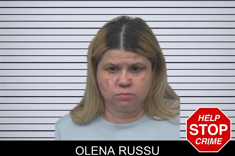 Olena Russu mugshot – Gwinnett County , Georgia Olena Russu mugshot