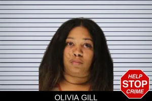Olivia Gill mugshot