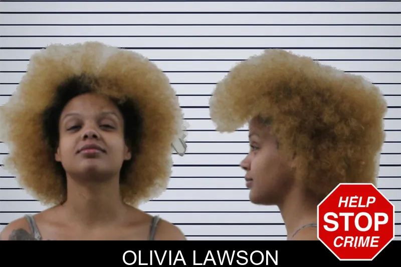 Olivia Lawson mugshot