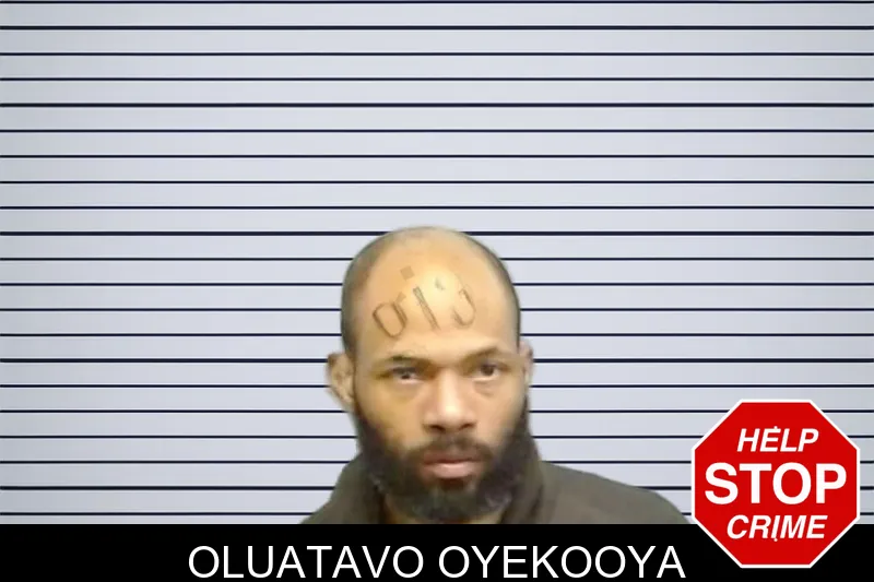 Oluatavo Oyekooya mugshot – Fulton County , Georgia Oluatavo Oyekooya mugshot