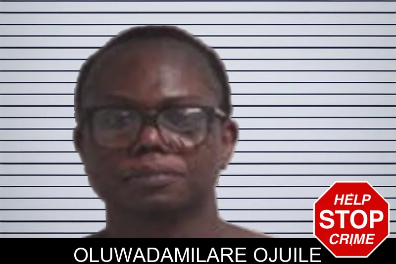 Oluwadamilare Ojuile mugshot