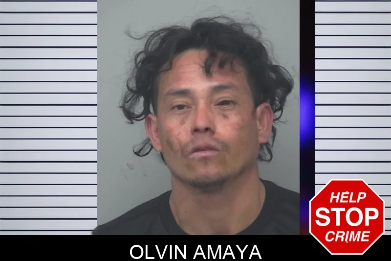 Olvin Amaya mugshot – Gwinnett County , Georgia Olvin Amaya mugshot