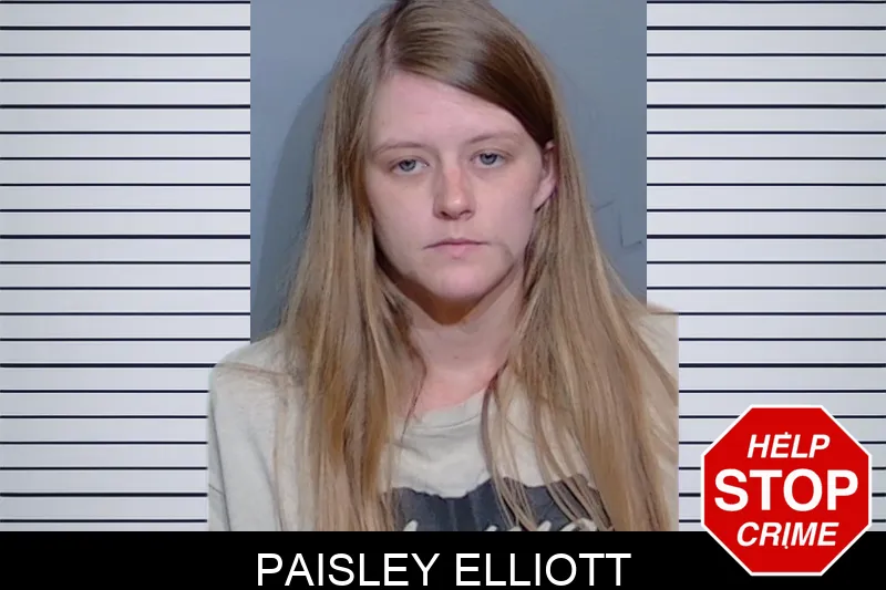 Paisley Elliott mugshot – Glynn County , Georgia Paisley Elliott mugshot