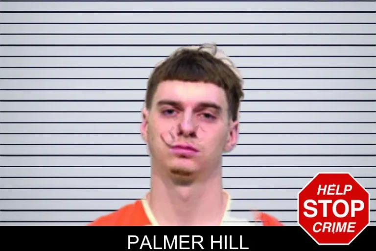 Palmer Hill