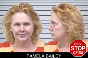 Pamela Bailey mugshot