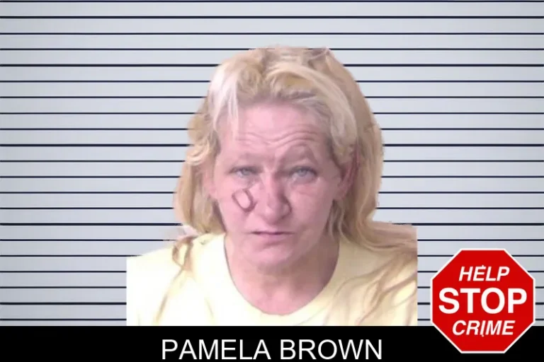 Pamela Brown mugshot – Walker County , Georgia Pamela Brown