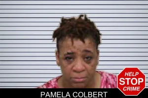 Pamela Colbert mugshot