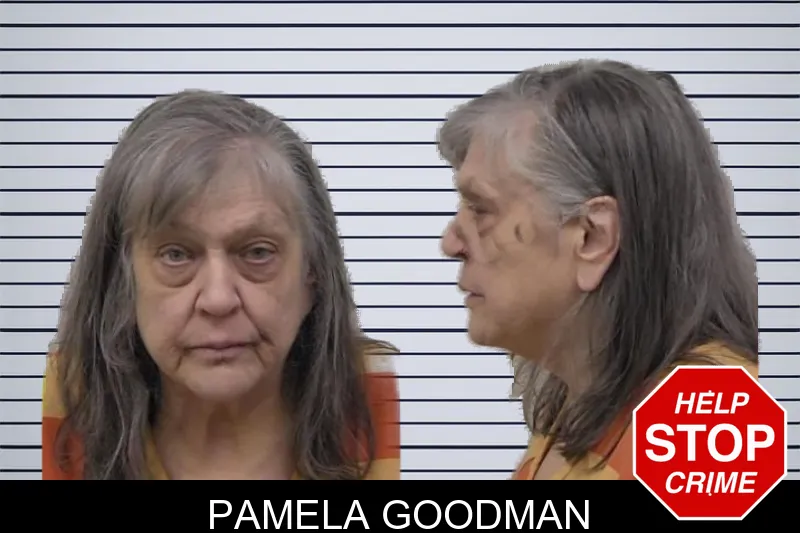 Pamela Goodman mugshot – Paulding County , Georgia Pamela Goodman mugshot