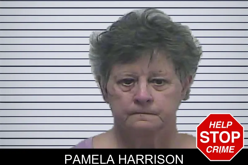 Pamela Harrison mugshot