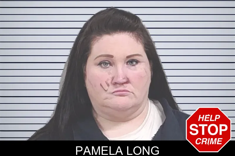Pamela Long mugshot – Lowndes County , Georgia Pamela Long mugshot