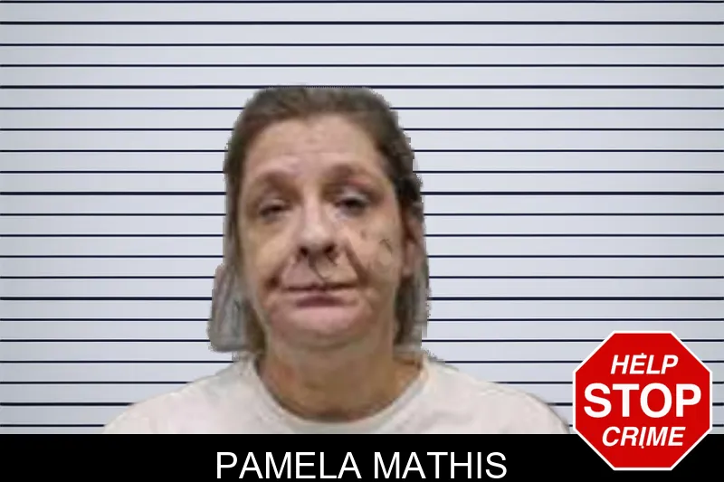 Pamela Mathis mugshot – Harris County , Georgia Pamela Mathis mugshot
