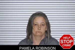 Pamela Robinson mugshot