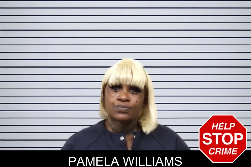 Pamela Williams mugshot