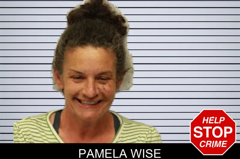 Pamela Wise mugshot