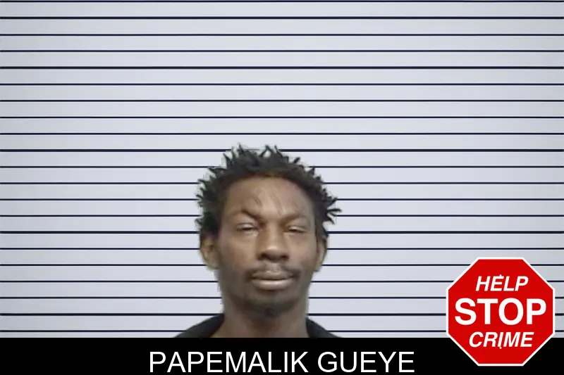 Papemalik Gueye mugshot