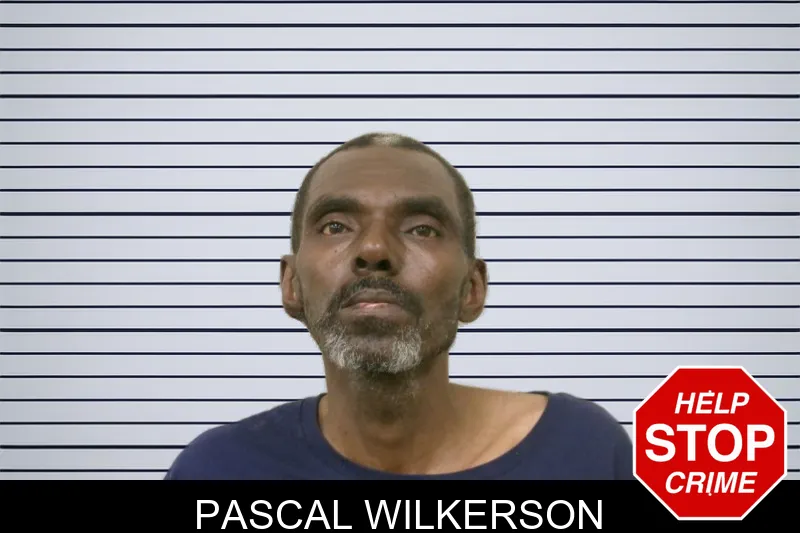 Pascal Wilkerson mugshot – Bulloch County , Georgia Pascal Wilkerson mugshot