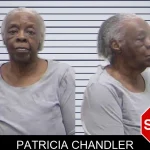 Patricia Chandler mugshot