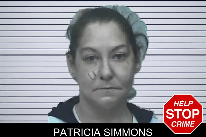 Patricia Simmons mugshot