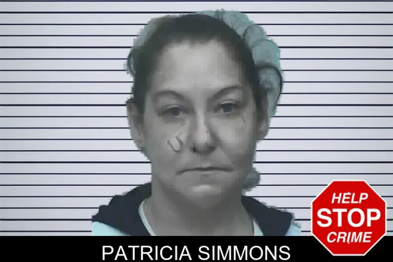 Patricia Simmons mugshot – Lanier County , Georgia Patricia Simmons
