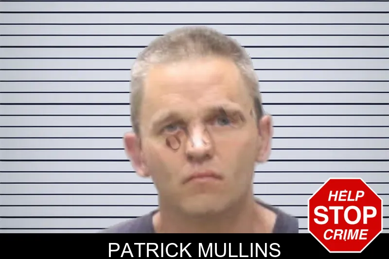 Patrick Mullins mugshot