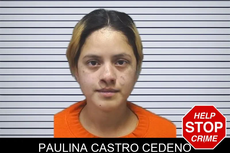 Paulina Castro Cedeno mugshot