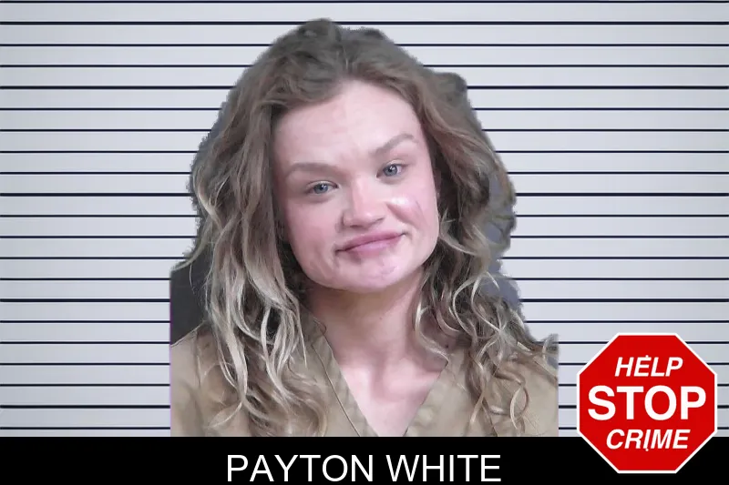 Payton White mugshot