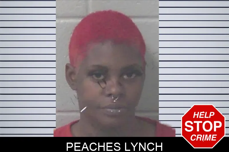 Peaches Lynch mugshot – Newton County , Georgia Peaches Lynch mugshot