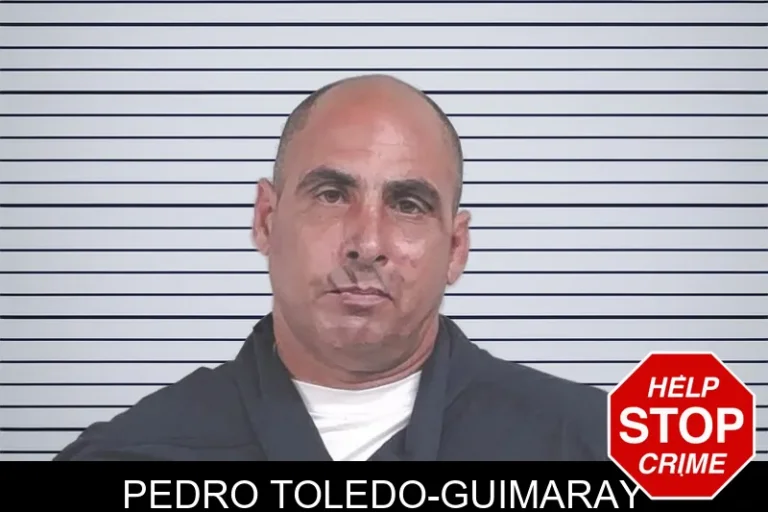 Pedro Toledo-Guimaray mugshot – Lowndes County , Georgia Pedro Toledo-Guimaray