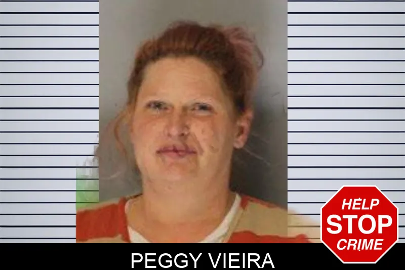 Peggy Vieira mugshot – Hall County , Georgia Peggy Vieira mugshot