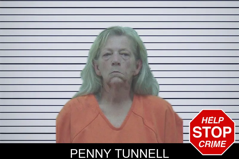 Penny Tunnell mugshot