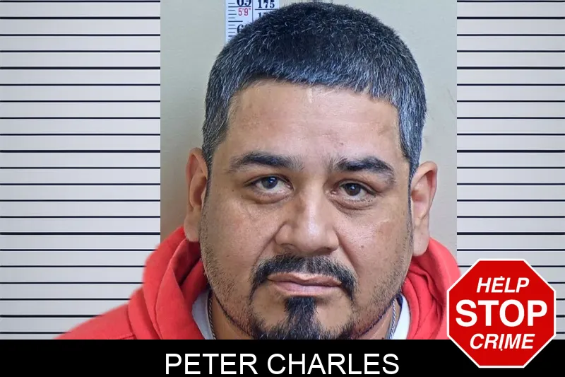 Peter Charles mugshot – Gwinnett County , Georgia Peter Charles mugshot