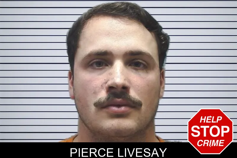 Pierce Livesay mugshot