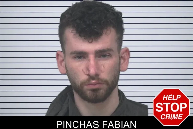 Pinchas Fabian mugshot – Gwinnett County , Georgia Pinchas Fabian