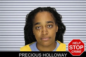 Precious Holloway mugshot