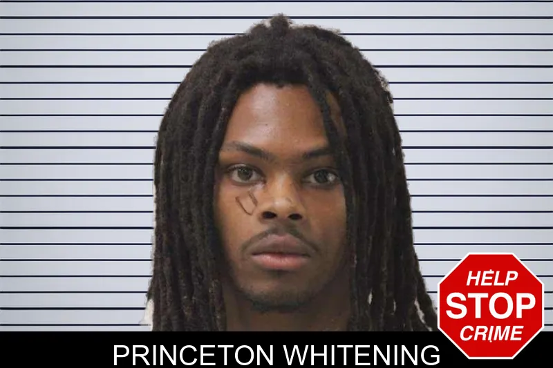 Princeton Whitening mugshot