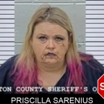Priscilla Sarenius mugshot