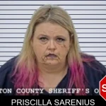 Priscilla Sarenius mugshot